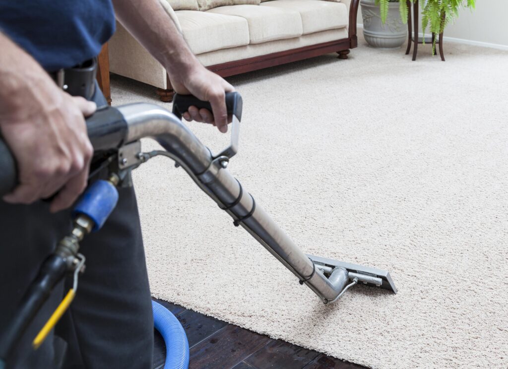 steam stain and spot removal with professional machine