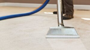 commercial and domestic stain removal system